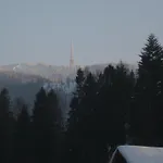 Goscinne Janosik, *