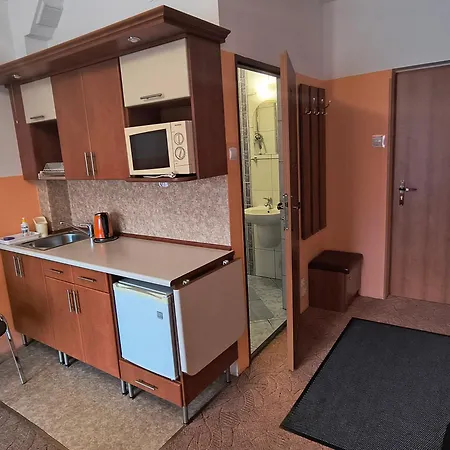 Apartment Goscinne Janosik,