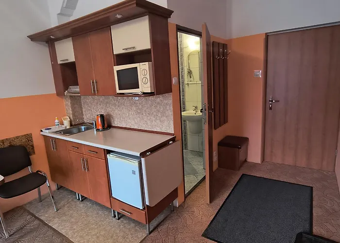 Apartament Goscinne Janosik,